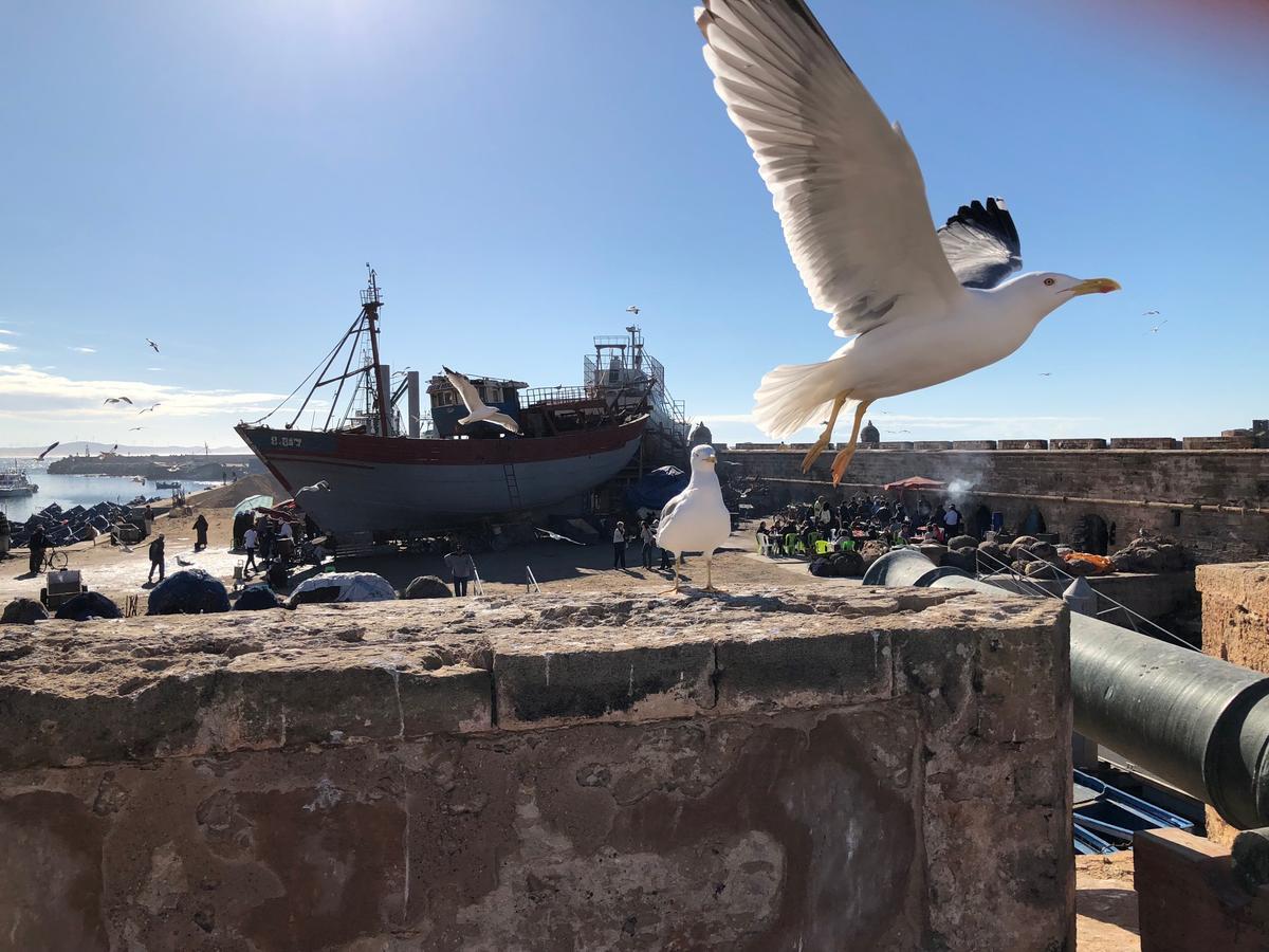 Riad De La Mer Essaouira Luaran gambar